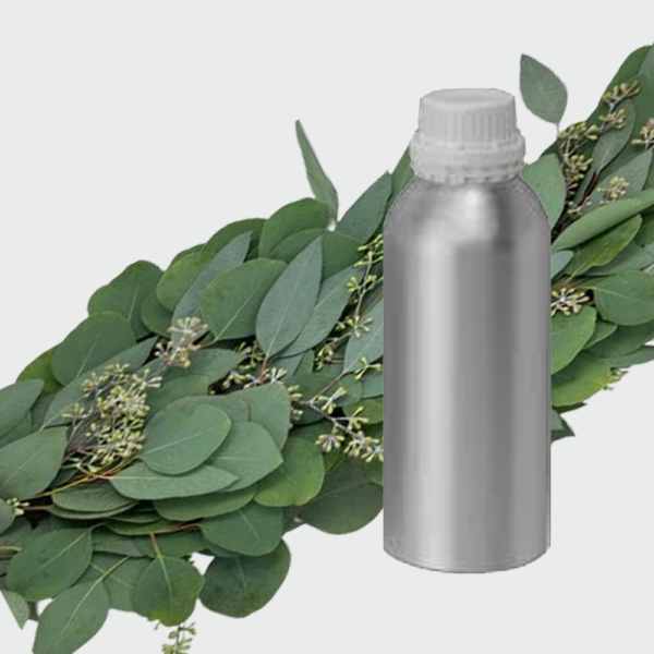 EUCALYPTUS PERFUME OIL - Image 2